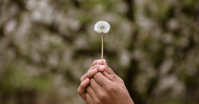 Mãos trocando termo de consentimento em reunião externa, simbolizando anuência comunitária