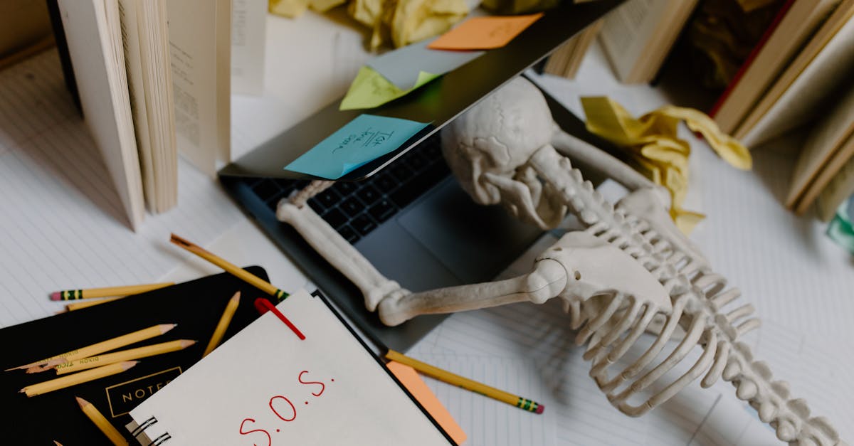 6 estratégias para revisar capítulos grandes sem se perder