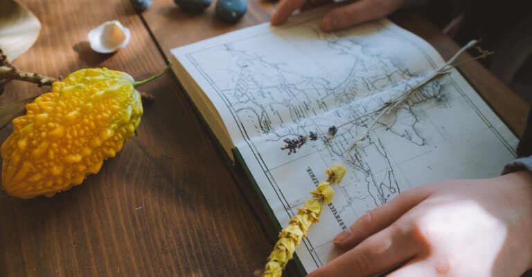 Mapa mental com passos para elaborar proposta de projeto de pesquisa em governança urbana