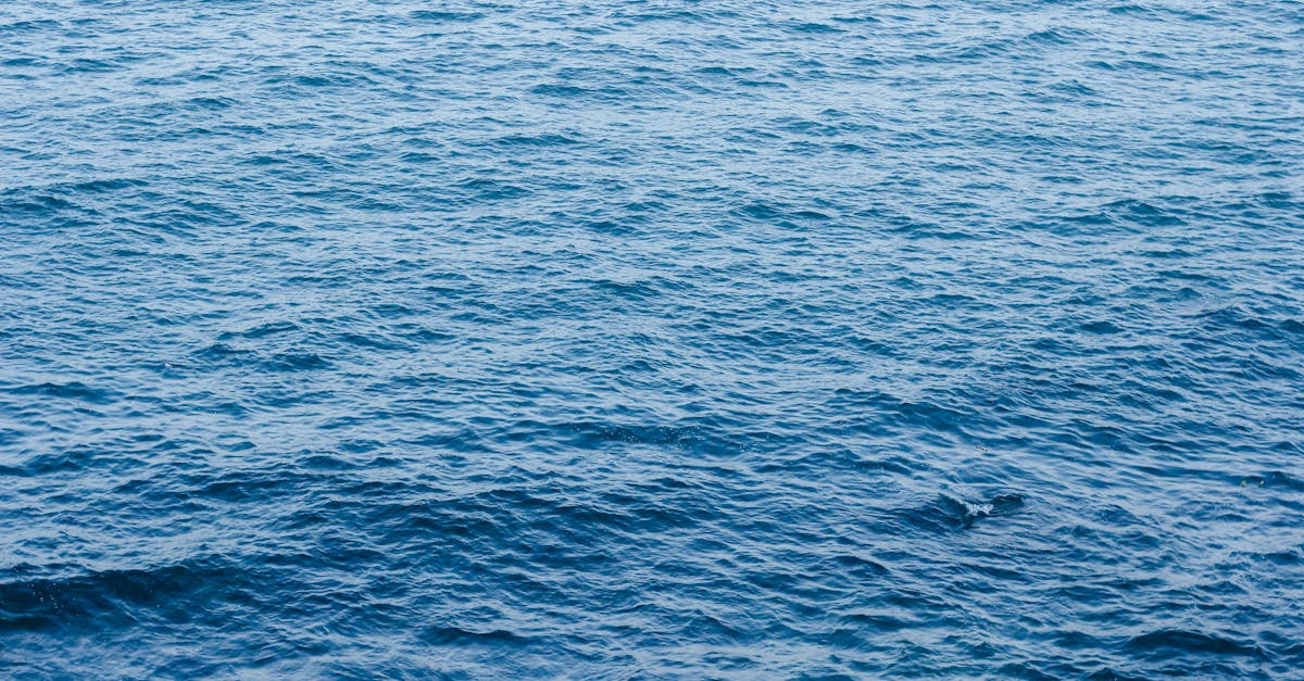 O guia definitivo para ingressar no PPGCMT da UFC em 2026