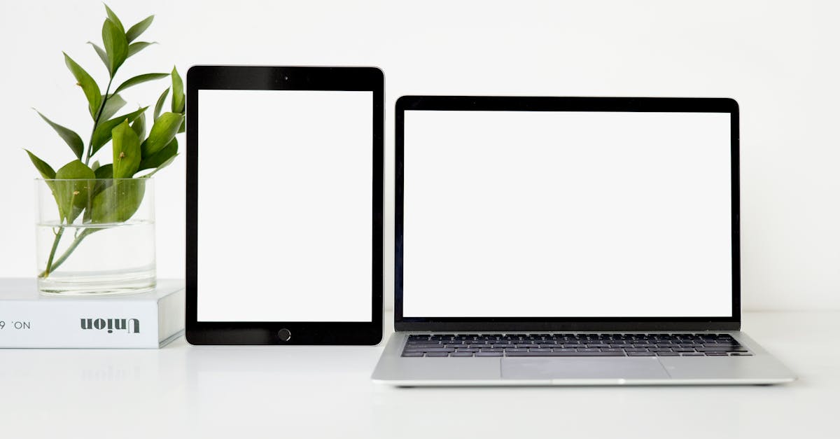 Só para candidatas: como se inscrever no PPGLitCult/UFBA até 09/11/2025