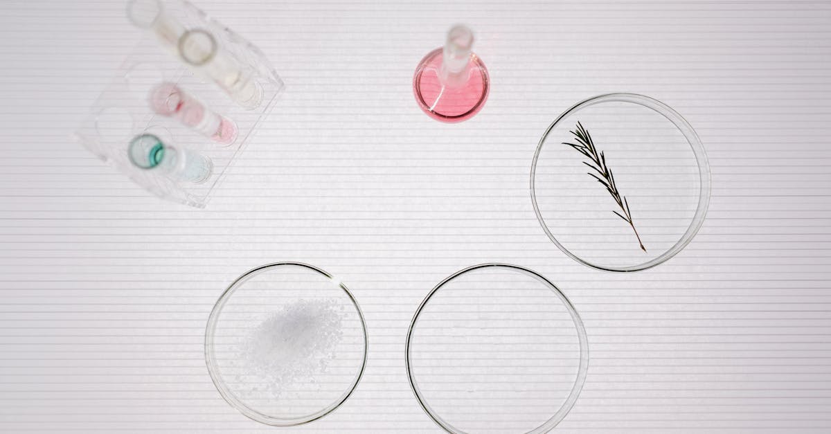 Pesquisador acadêmico montando estrutura de framework de metodologia em mesa com fundo limpo e iluminação natural