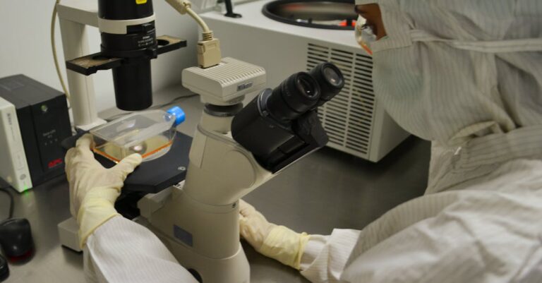 Pesquisador testando importação de fontes acadêmicas em software de gerenciamento no computador