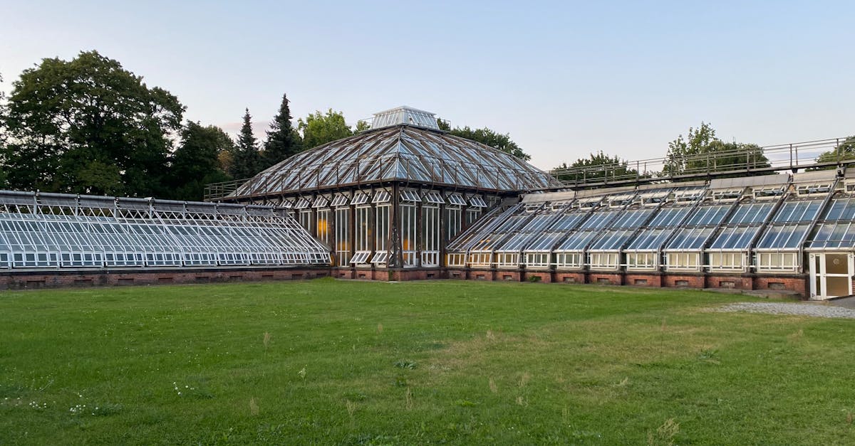 Pesquisadora construindo estrutura conceitual com papéis e notas em mesa limpa e iluminada