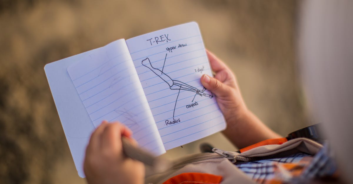 Pesquisador focado desenhando um roadmap em caderno com fundo limpo e iluminação natural