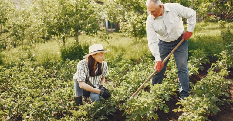 Analista gerando gráfico de forest plot em software estatístico em tela de computador minimalista