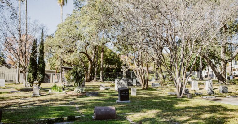 Estatístico analisando plot de resíduos em gráfico estatístico na tela, close-up detalhado com fundo neutro.