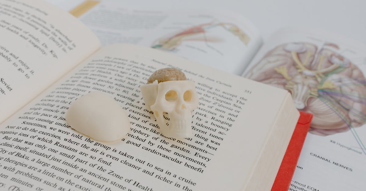 O Framework PLS-VALID para Executar PLS-SEM em Teses Quantitativas Que Blindam Contra Críticas CAPES por Modelos Complexos Não Validados