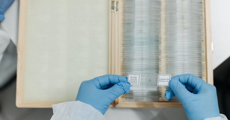 Pesquisador preparando slides minimalistas para apresentação de tese em laptop com fundo limpo