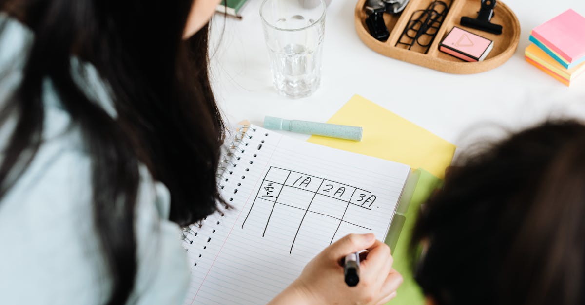 Pesquisadora verificando checklist em caderno em mesa limpa com laptop ao fundo